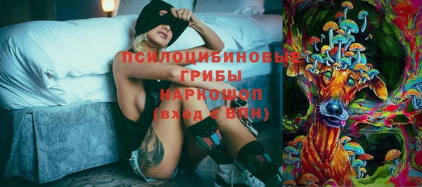 шишки Снежинск